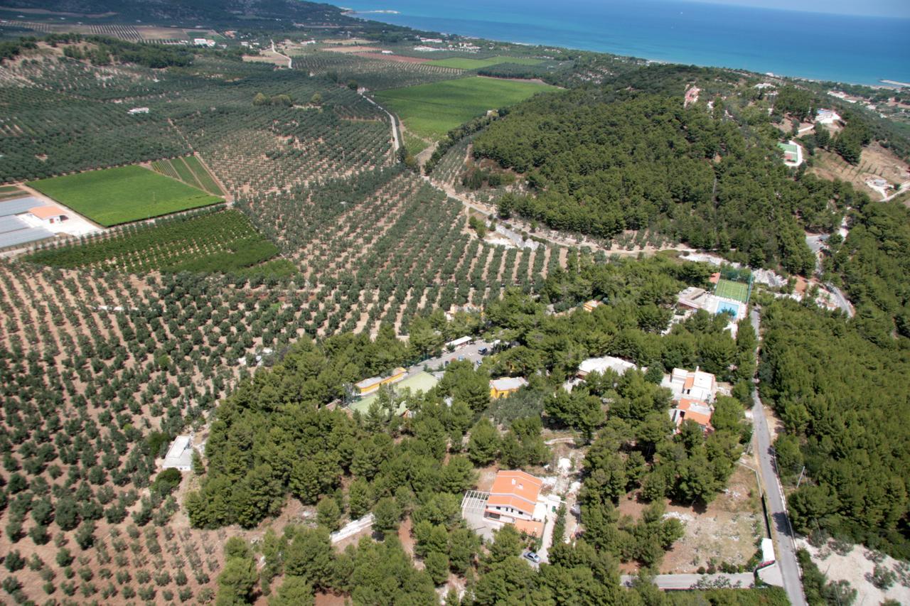 Villaggio Elisena Vieste Dış mekan fotoğraf