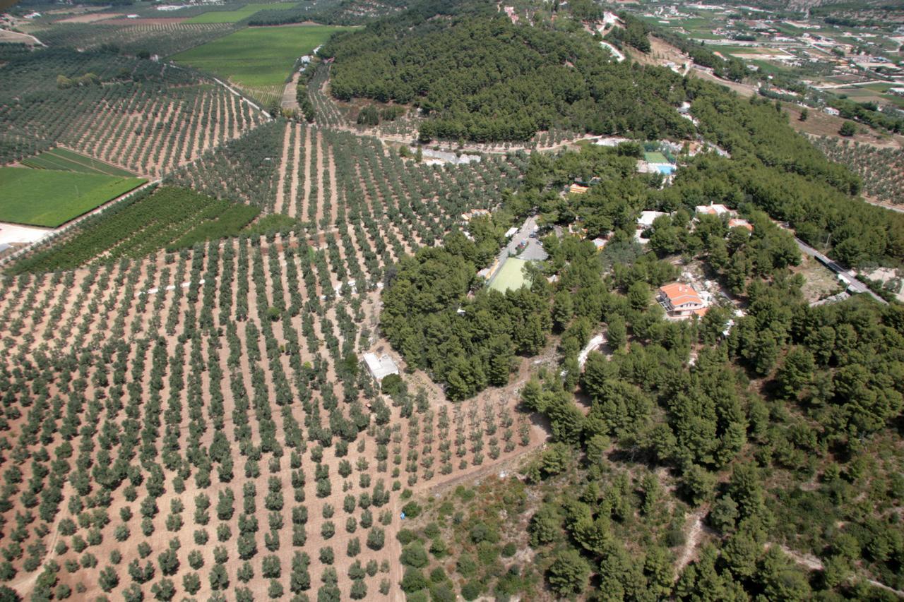 Villaggio Elisena Vieste Dış mekan fotoğraf
